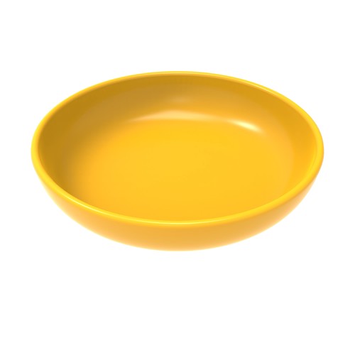Coin Dish