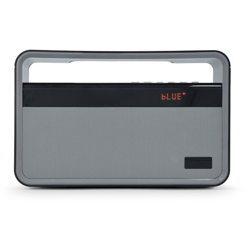 BT SPEAKER AND FM RADIO, 2x5W