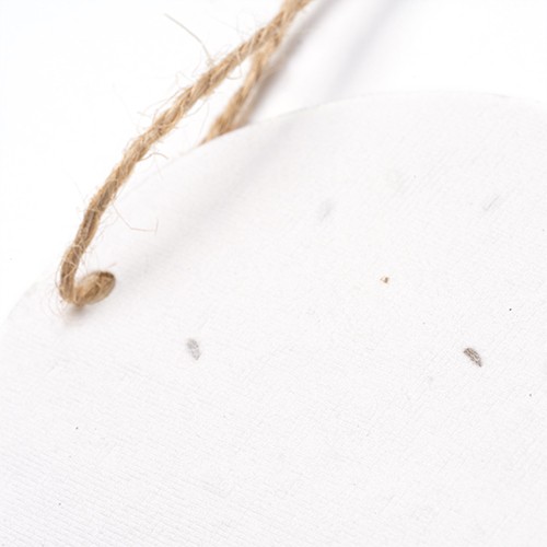 Christmas decorations Littleton