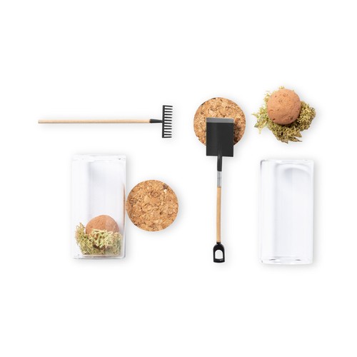 Bonbon Graines Winsu