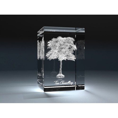 Bloc de verre, 200x100x100mm