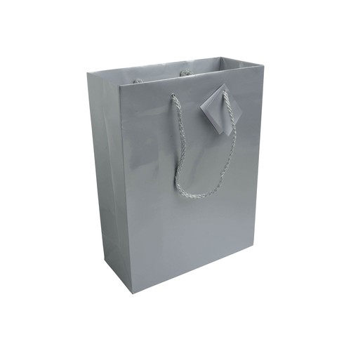157 g/m2 laminated paper shopping bag with gusset and bottom reinforcement, string handles