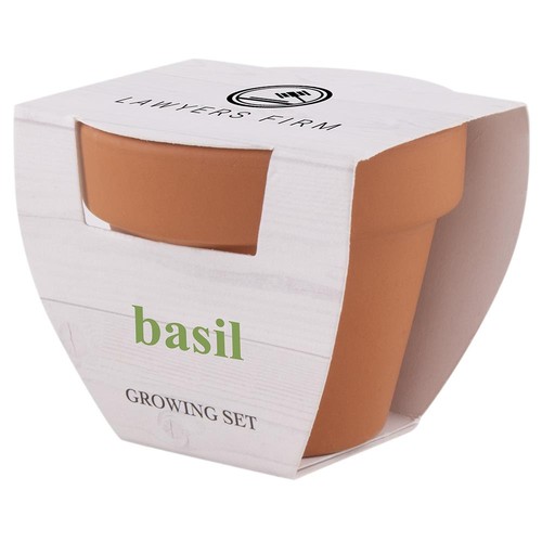 FLOWERPOT BASIL