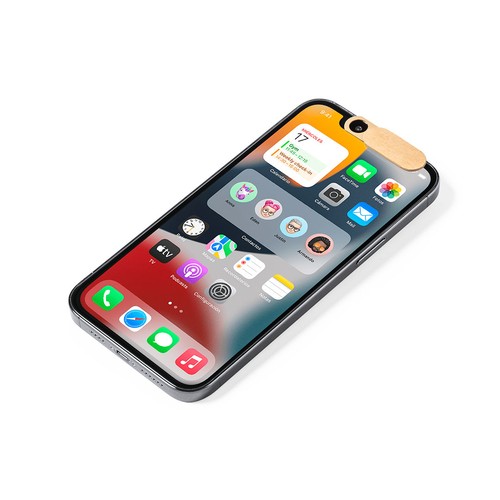 Pamięć podręczna kamery internetowej