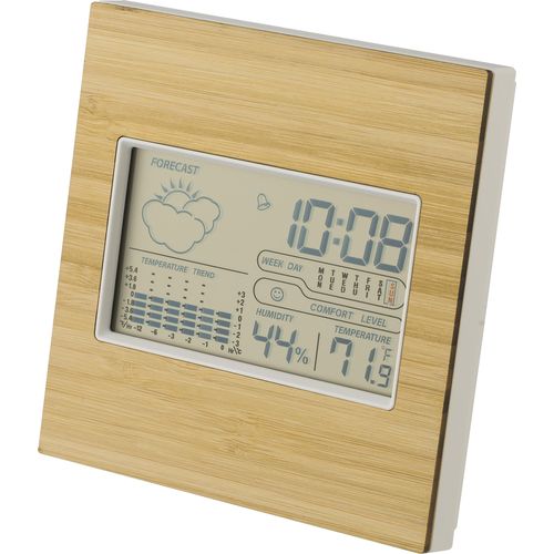 Bamboo weather station Lia