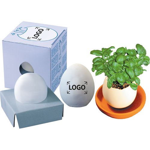 Growing Tamago Basil