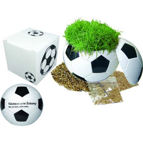 Boîte Cadeau avec Football qui croît