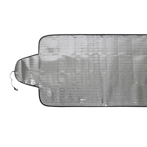 windshield protection