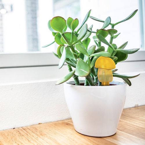 ECOLOGICAL AUTONOMOUS WATERING CAN