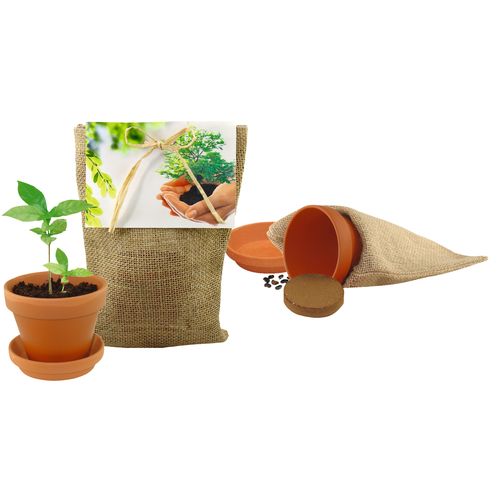 Plant your own Tree nature sack