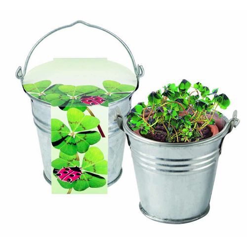 Petit Seau en Zinc Trèfle à 4 Feuilles
