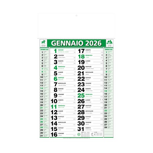 2026 Two-Colour Monthly Wall Calendar, 12 sheets, coated paper, heat-sealed