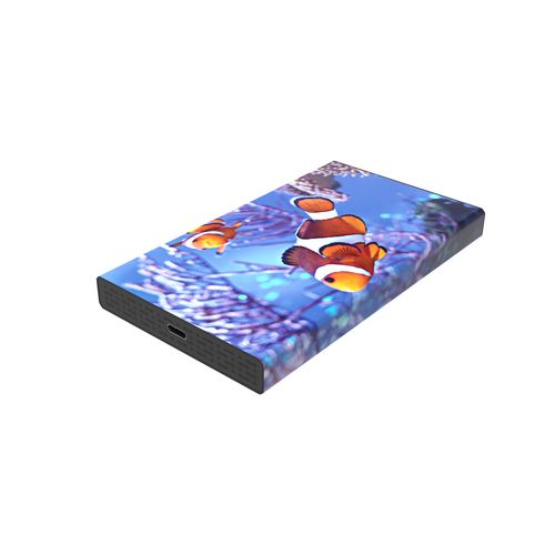 White Lake SSD Pro (120Go)