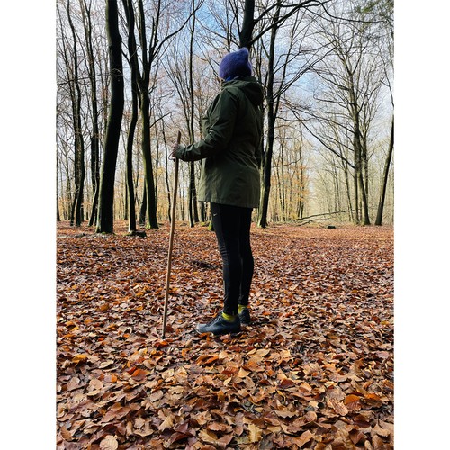 hiking stick