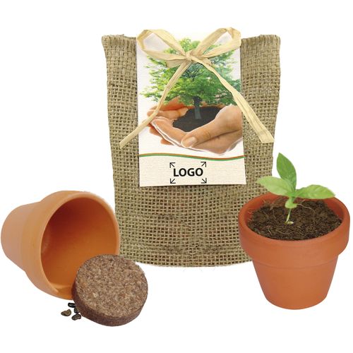 Plant your own Tree small nature sack