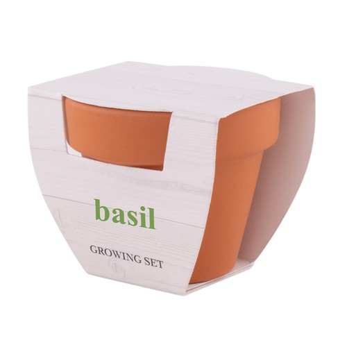 FLOWERPOT BASIL