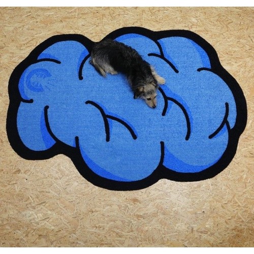 Pet mat