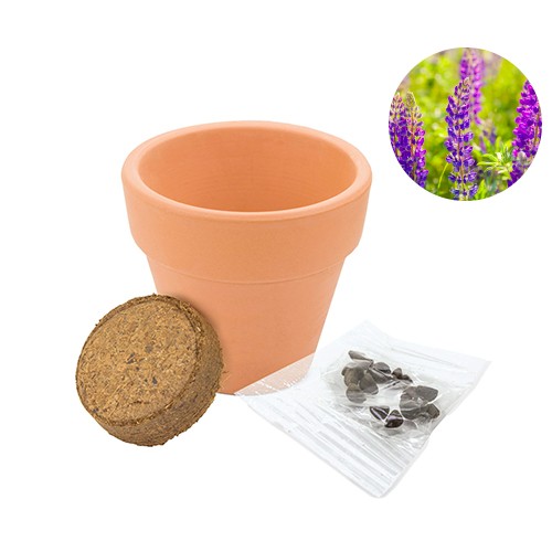 Clay pot with seeds Crespadoro