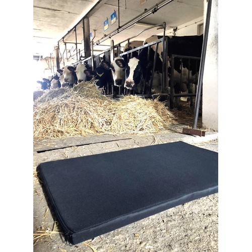 Disinfection mat 100x60x3cm