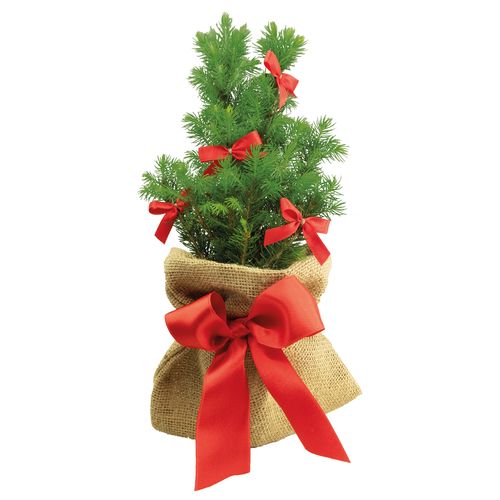 Gift Tree Bows 20-30 cm