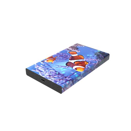 White Lake SSD Pro (480Go)