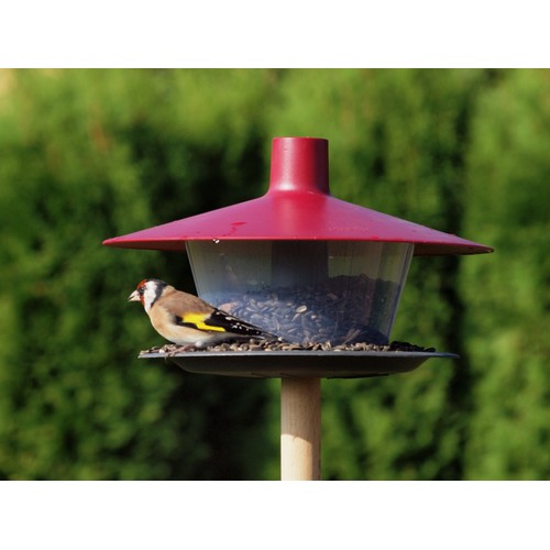 Bird feeder to hang, place, enjoy!