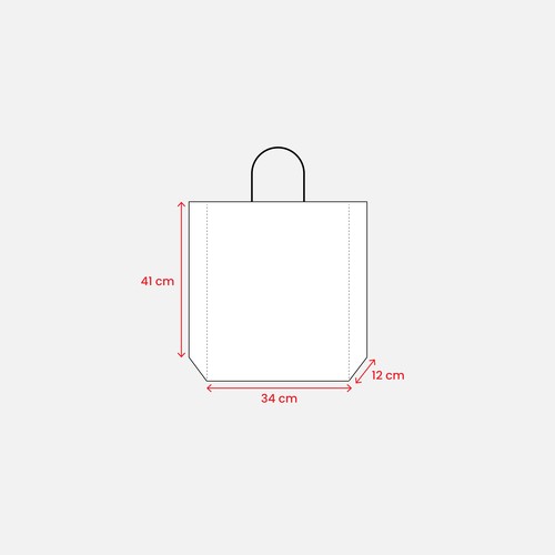 Bolsa de papel laminado mate  34x41x12 cm