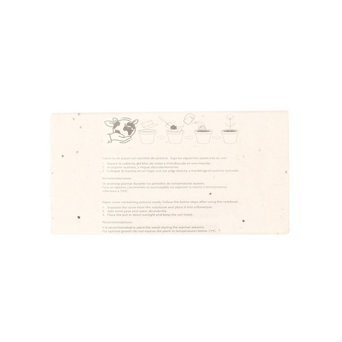 Caja Lápices Semillas Delar