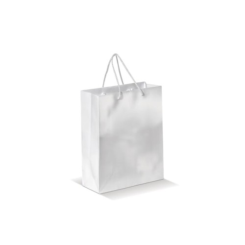 Moyen sac papier kraft