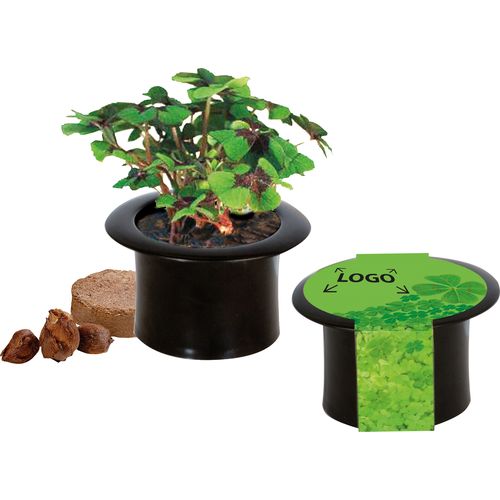 Haut-de-forme Porte-Bonheur