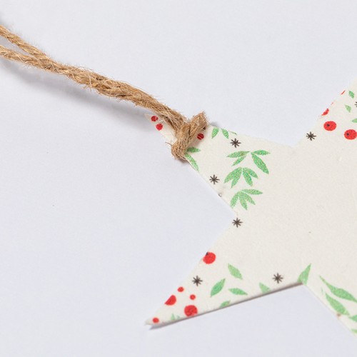 Seeds Christmas Decoration Boster