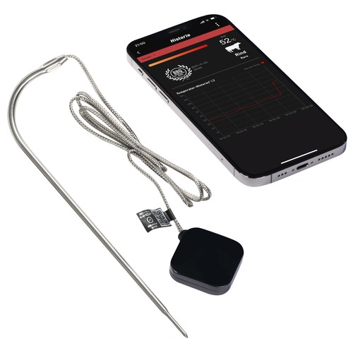 termómetro conectado