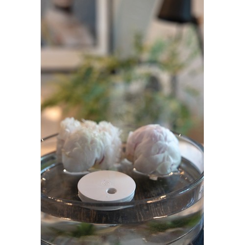 Humidificador flotante recargable Breevia RCS rplastic