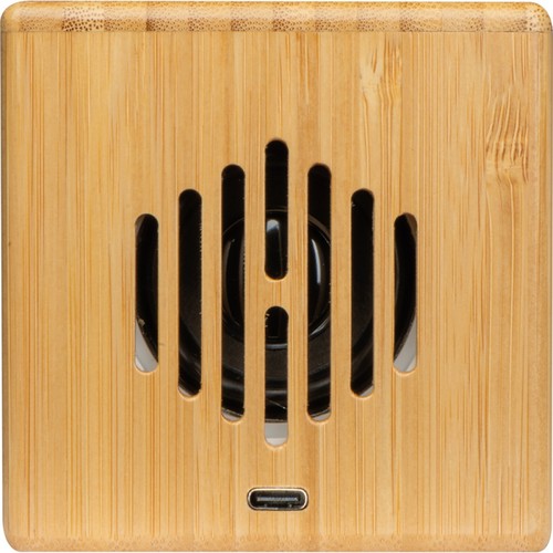 Bamboo speaker