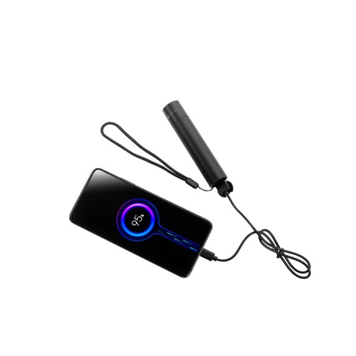 Flashflight ZAGROS Schwarzwolf