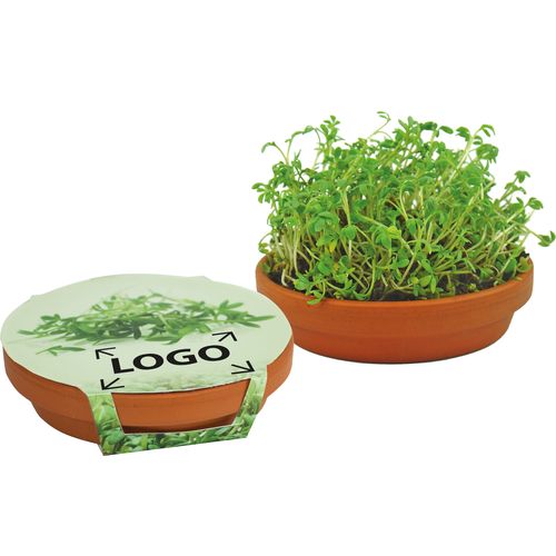 Cress Bowl