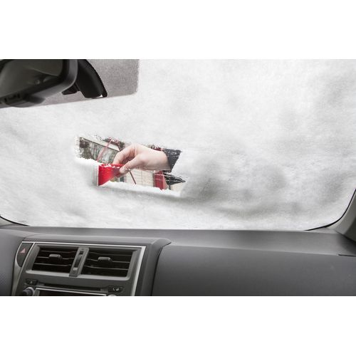 Gratte-neige Amaryllis