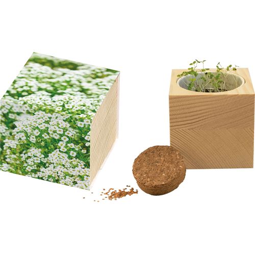 Big Nature Cube Carpet of Snow