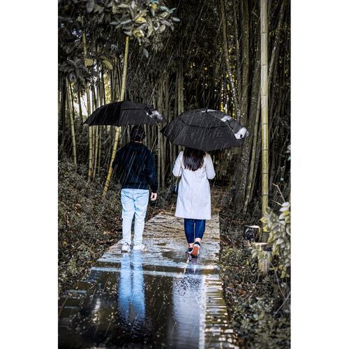 GAVIN. 27.5" Paraguas en "pongee" 190T con apertura automática