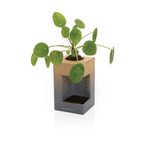 Avira Alya RCS gerecycled roestvrijstalen beker 300ML