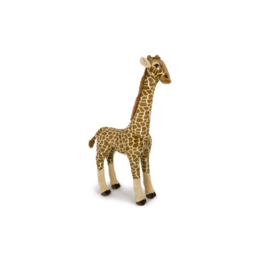 Giraffe, Premium Edition