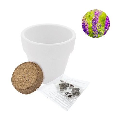 Bicolored jar, supplied with cultivation substrate Gelso