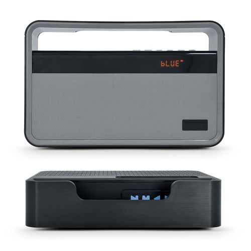 BT SPEAKER AND FM RADIO, 2x5W