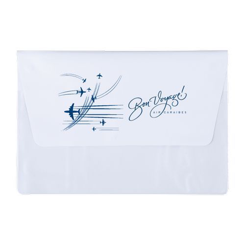 POCHETTE VOYAGE 2 P PVC STD