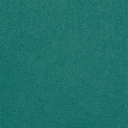 Set de table jetable HOSTEX