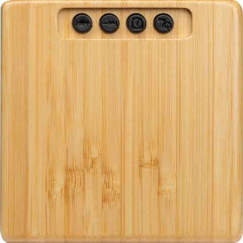 Bamboo speaker