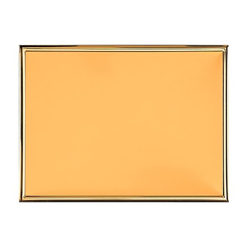 profesjonalna płyta