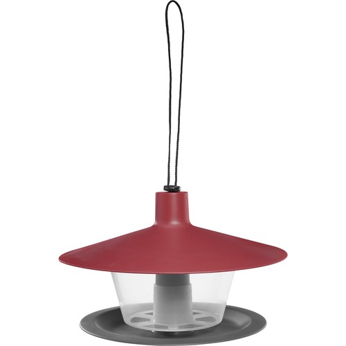 Bird feeder to hang, place, enjoy!