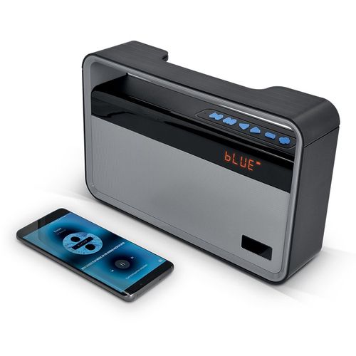 BT SPEAKER AND FM RADIO, 2x5W