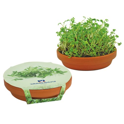 Cress Bowl